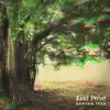 East Point - Banyan Tree - Single